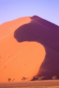 Magnificent Dune 45...