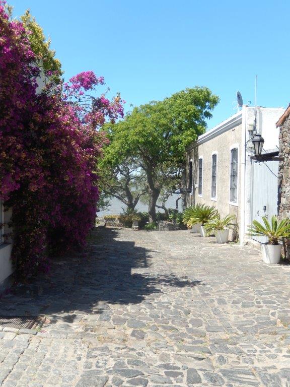 Colonia del SacramentoC (20)