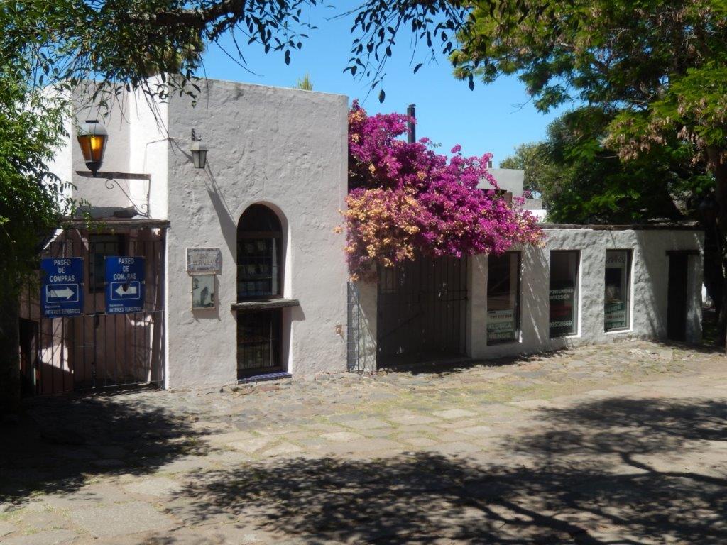 Colonia del SacramentoC (4)