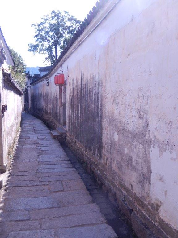 ChengkanC (9)