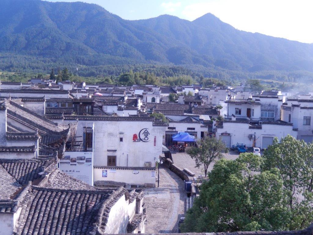 NanpingC (46)