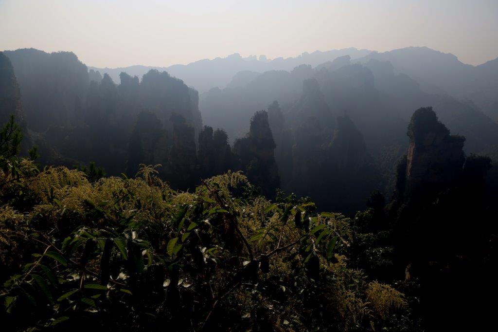 YuangjiajieE (11)
